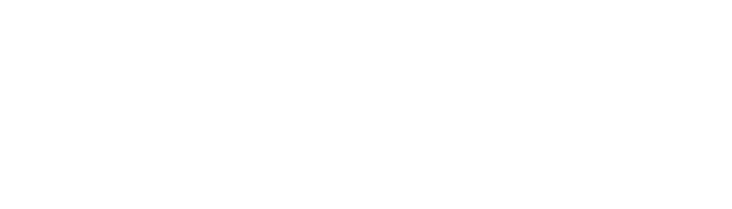 ICOI Fellow